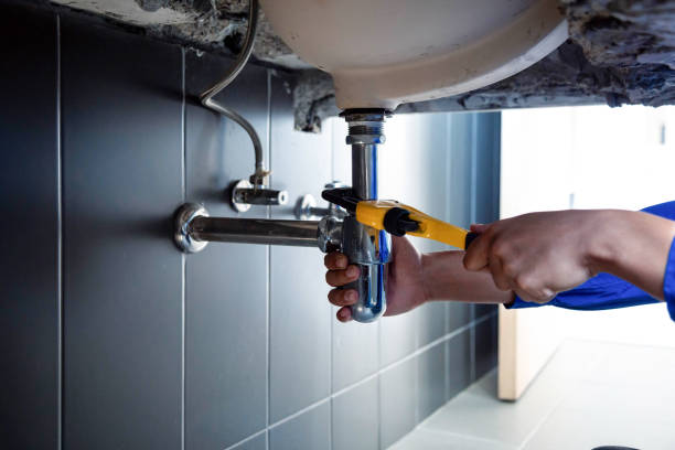 Best Commercial Plumbing Services  in Poncha Springs, CO